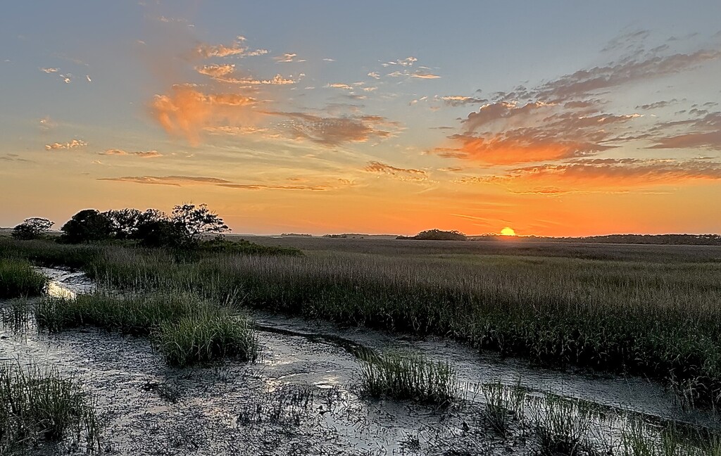 Marsh sunset at low tide by congaree