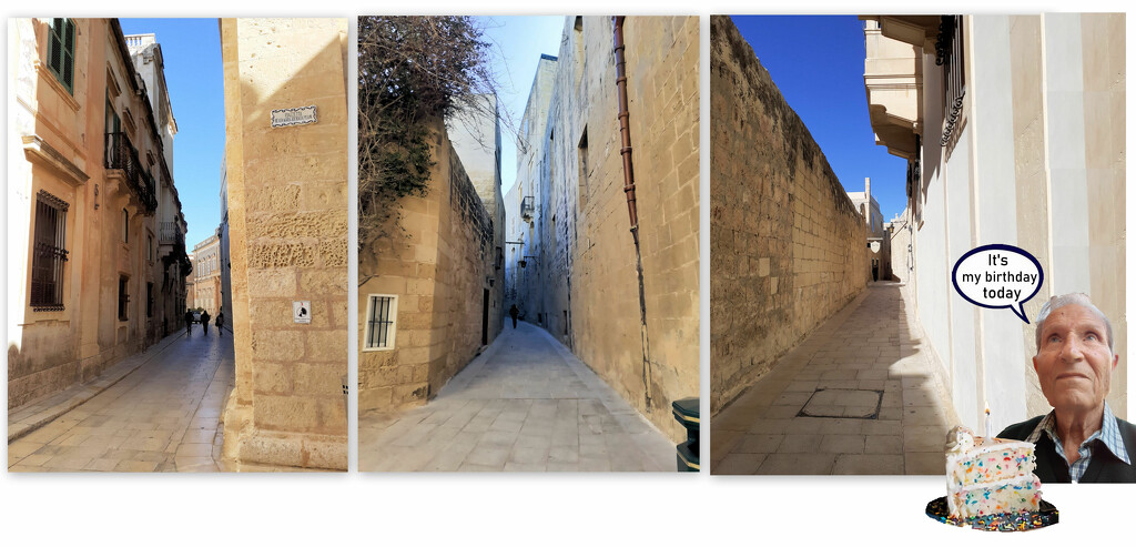 THE NARROW STREETS OF MDINA by sangwann