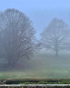 1st May 2024 - A foggy day