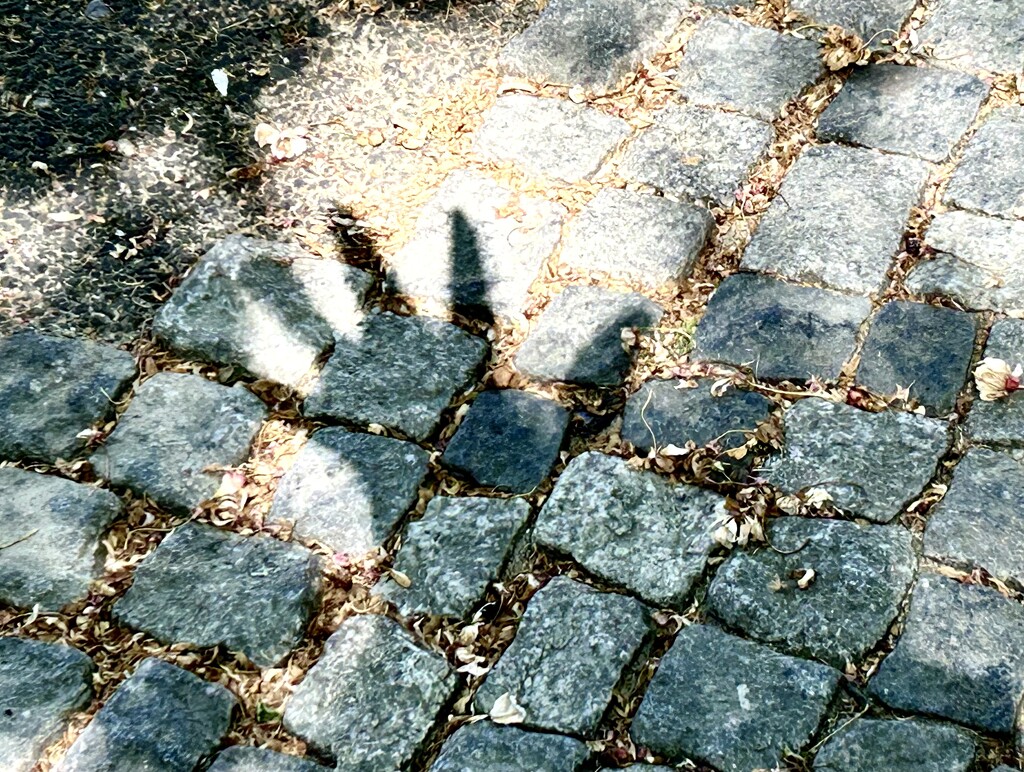 A Shadow of My Hand in Berlin by kareenking