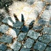 A Shadow of My Hand in Berlin