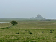 1st May 2024 - Lindisfarne Castle on Holy Island