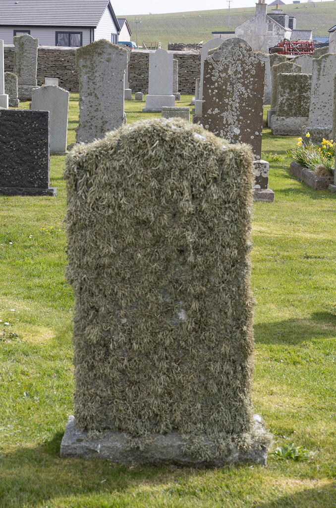 Gravestone by lifeat60degrees