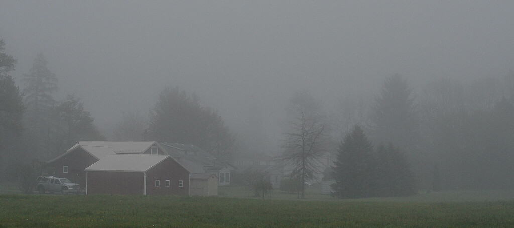 Foggy morning-2 by darchibald