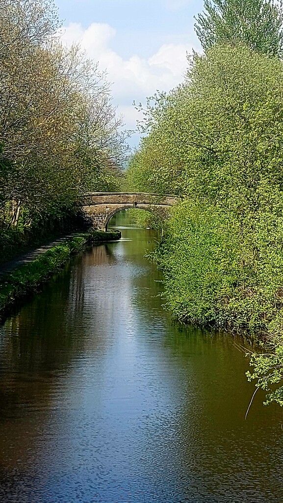Rochdale Canal, near Milnrow  by antmcg69