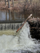 1st May 2024 - Another spring weir 