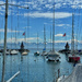 Harbor of Morges. 