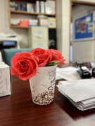 1st May 2024 - Office Roses