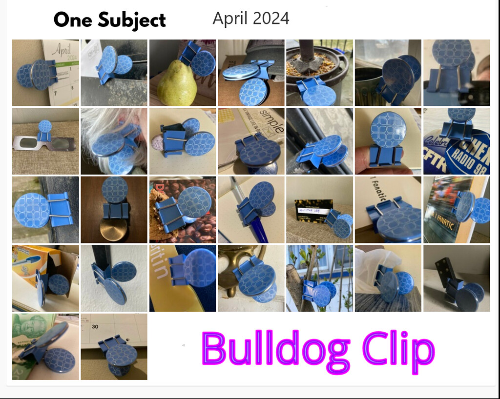 One Subject-Bulldog Clip-Calendar by spanishliz