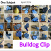 One Subject-Bulldog Clip-Calendar