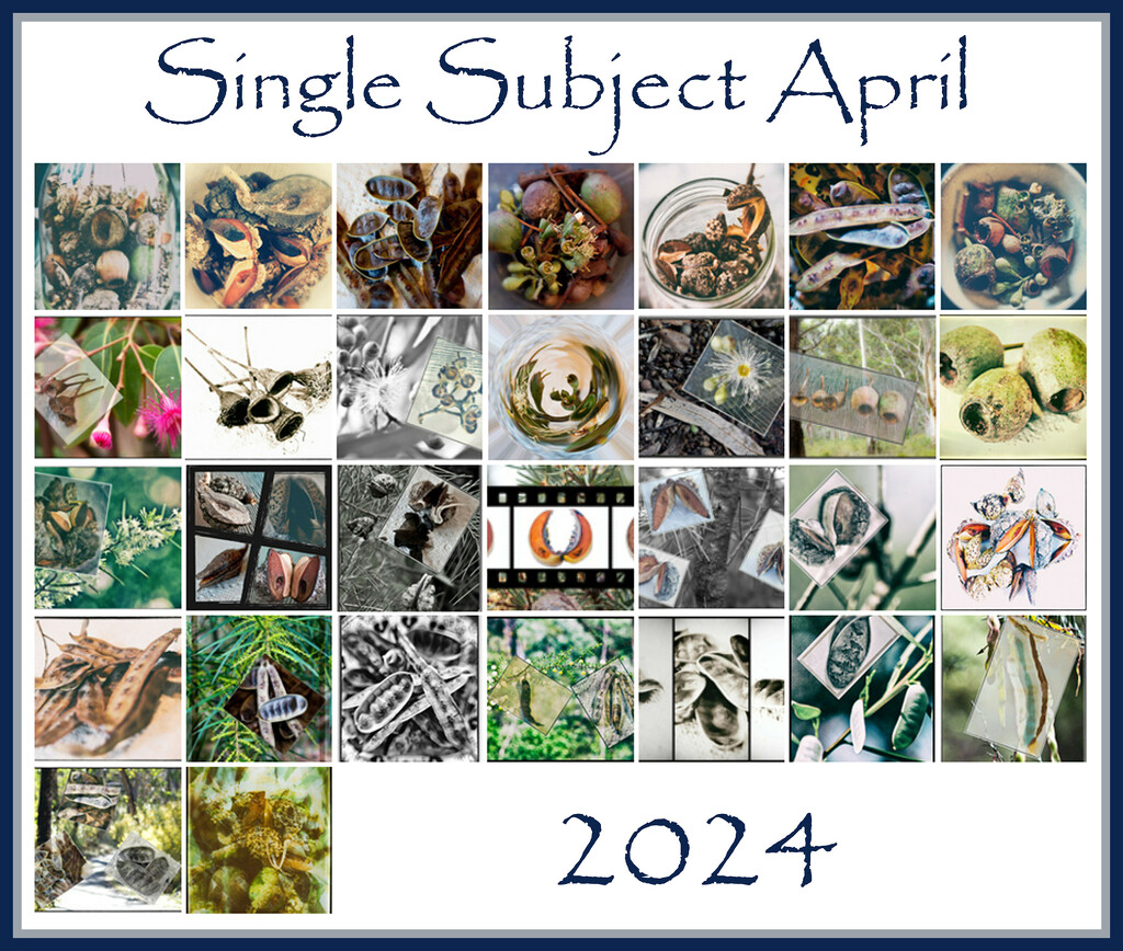 Single Subject Collage by annied