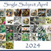 Single Subject Collage by annied