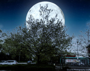 2nd May 2024 - The light of the moon