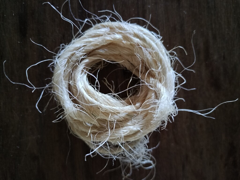 Hairy String by mdry