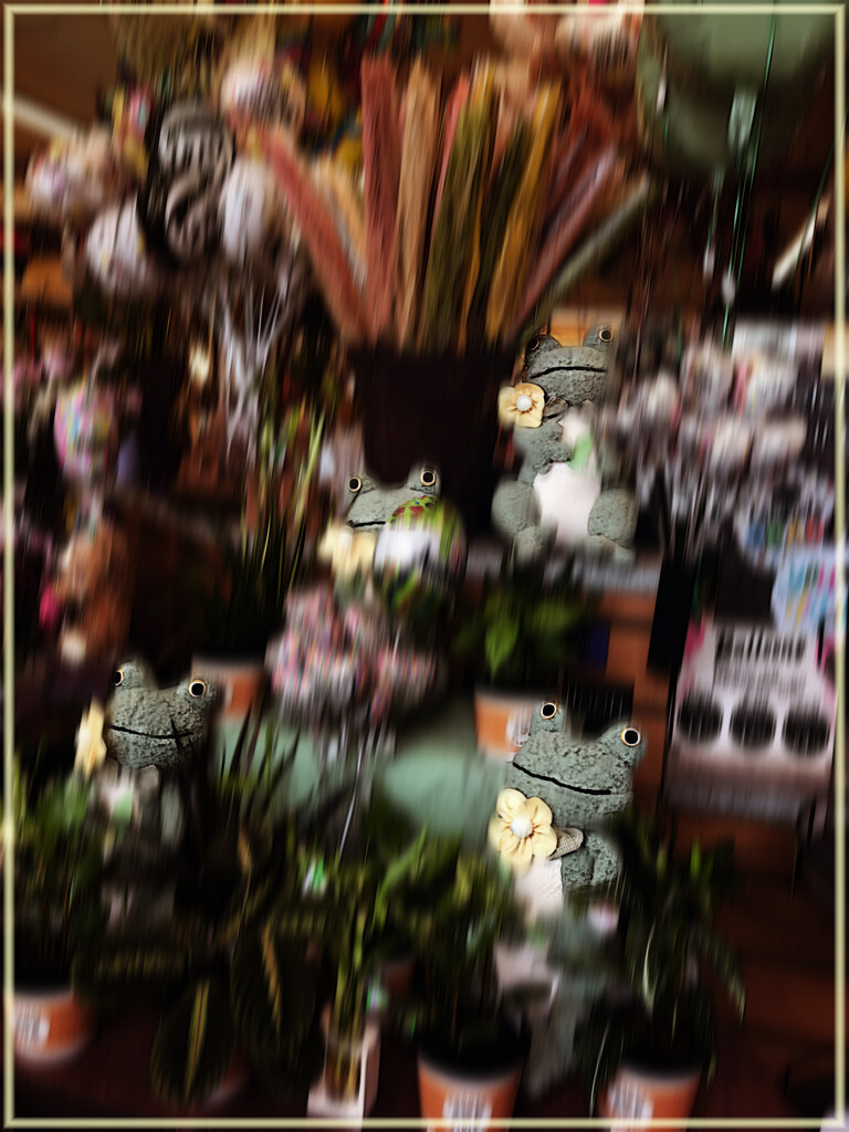 Back to the grocery store-in the flower section by 365projectorgchristine
