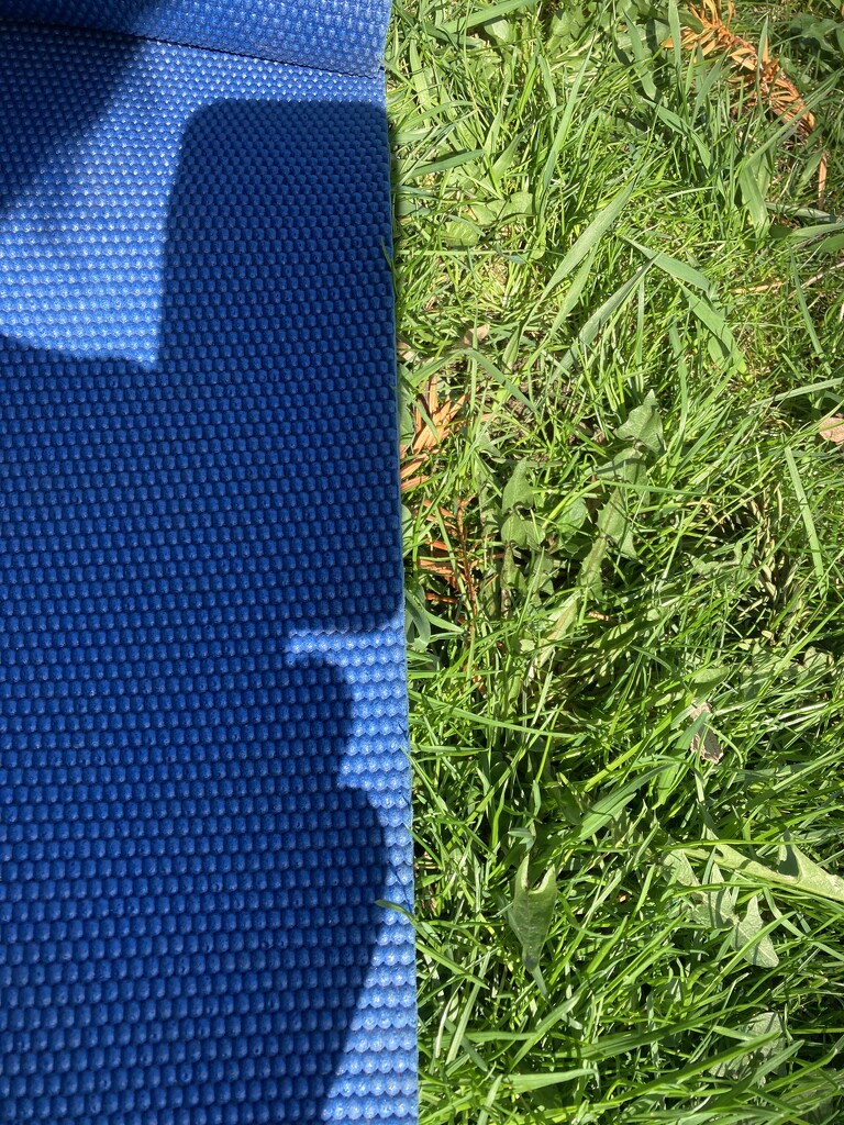 Half Yoga Mat, Half Grass by spanishliz