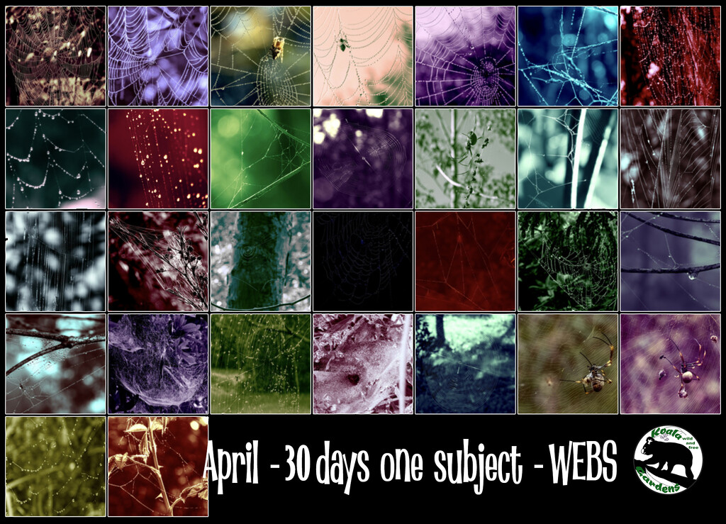 30 days - one subject by koalagardens