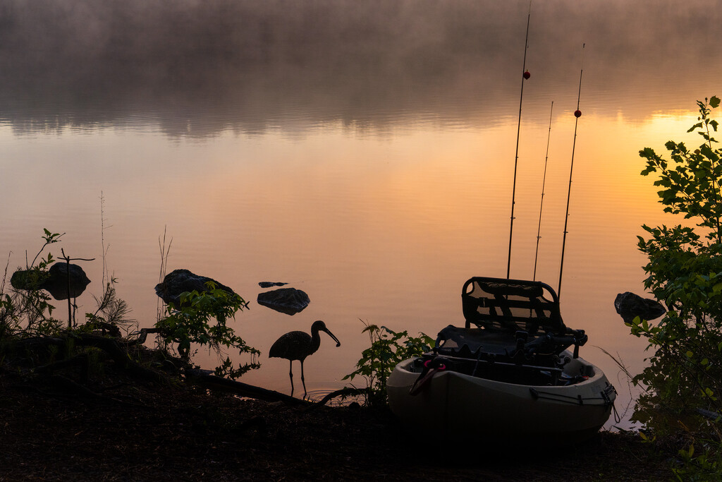Fishing at Sunrise by kvphoto
