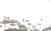 2nd May 2024 - White Out Conditions
