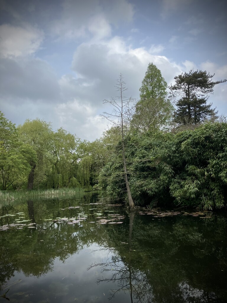 Cambridge University Botanic Garden  by g3xbm