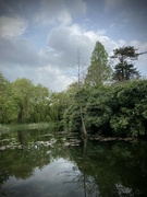 3rd May 2024 - Cambridge University Botanic Garden 