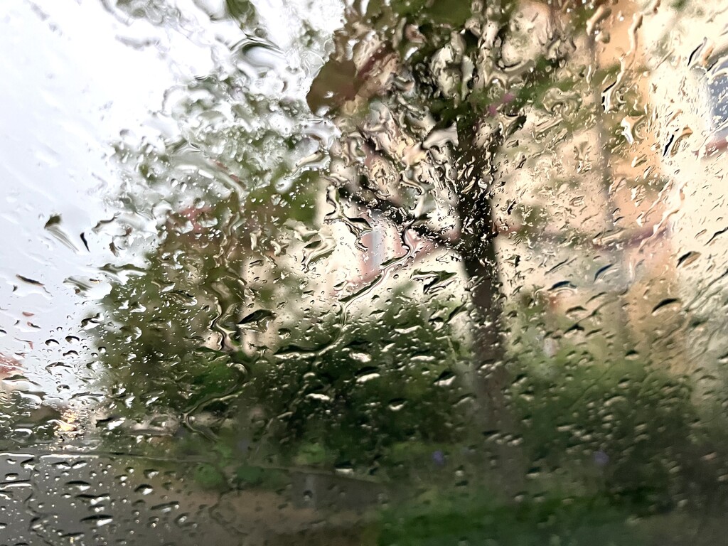 Rain… by vincent24