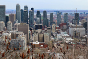 3rd May 2024 - Montreal skyline