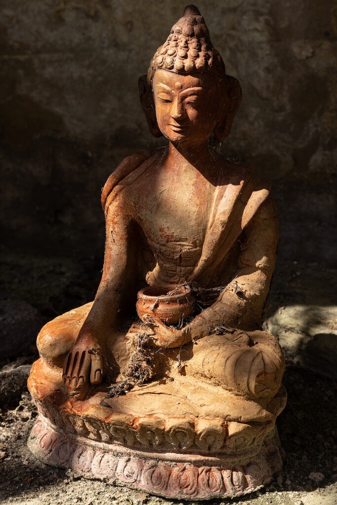 The Buddha in light and shadow.  by billdavidson