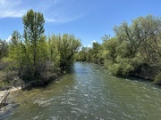 2nd May 2024 - Boise River