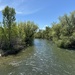 Boise River by pirish