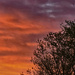 Sunrise 1 by larrysphotos
