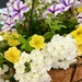 Flower Basket by cheridw