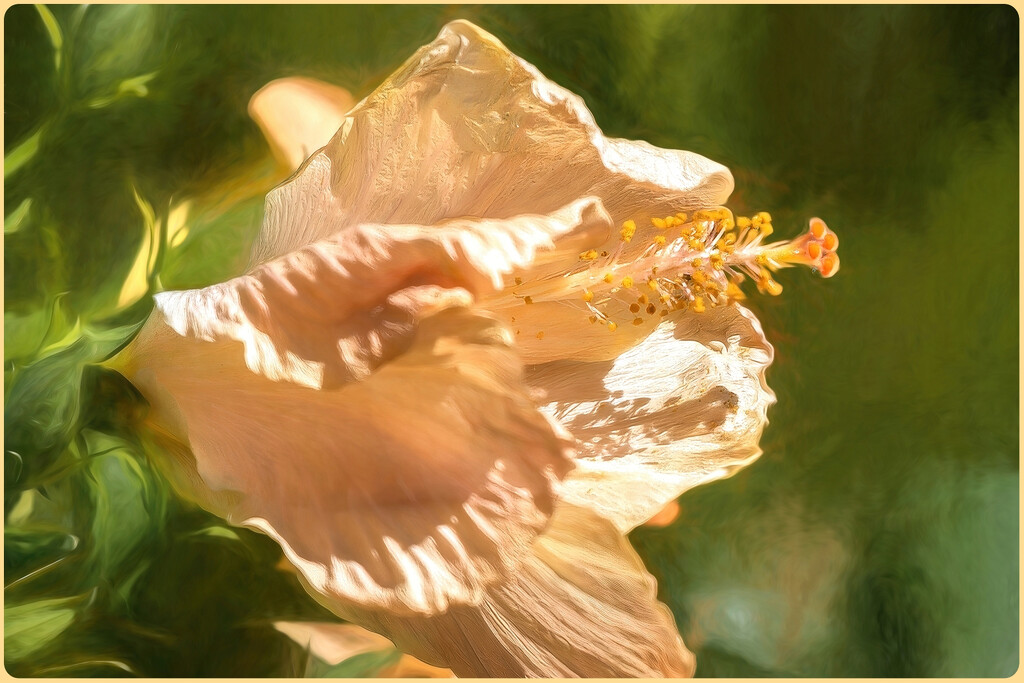 Painted hibiscus by ludwigsdiana