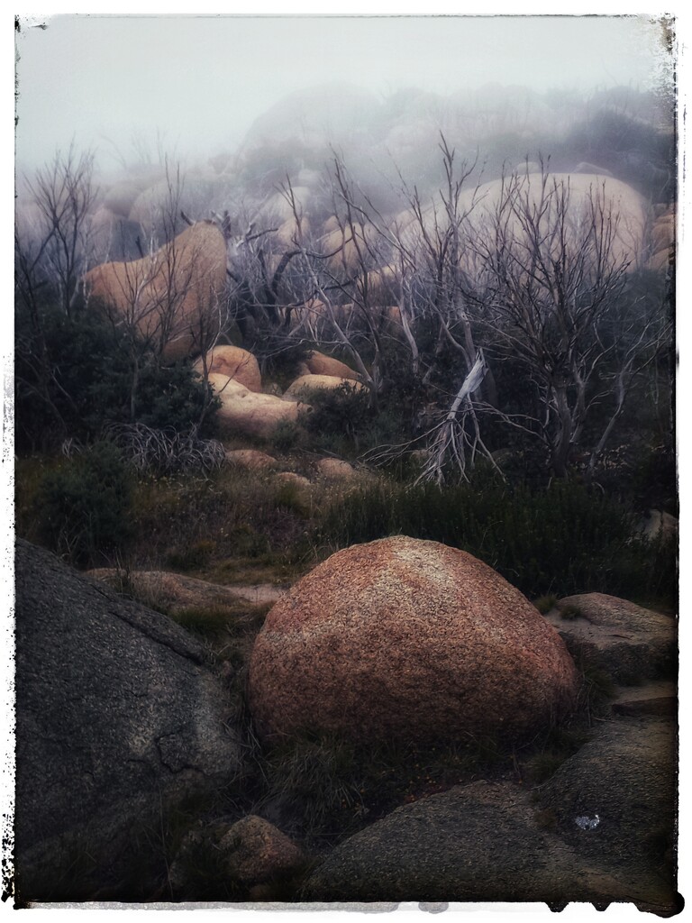 Misty Mountain by aq21