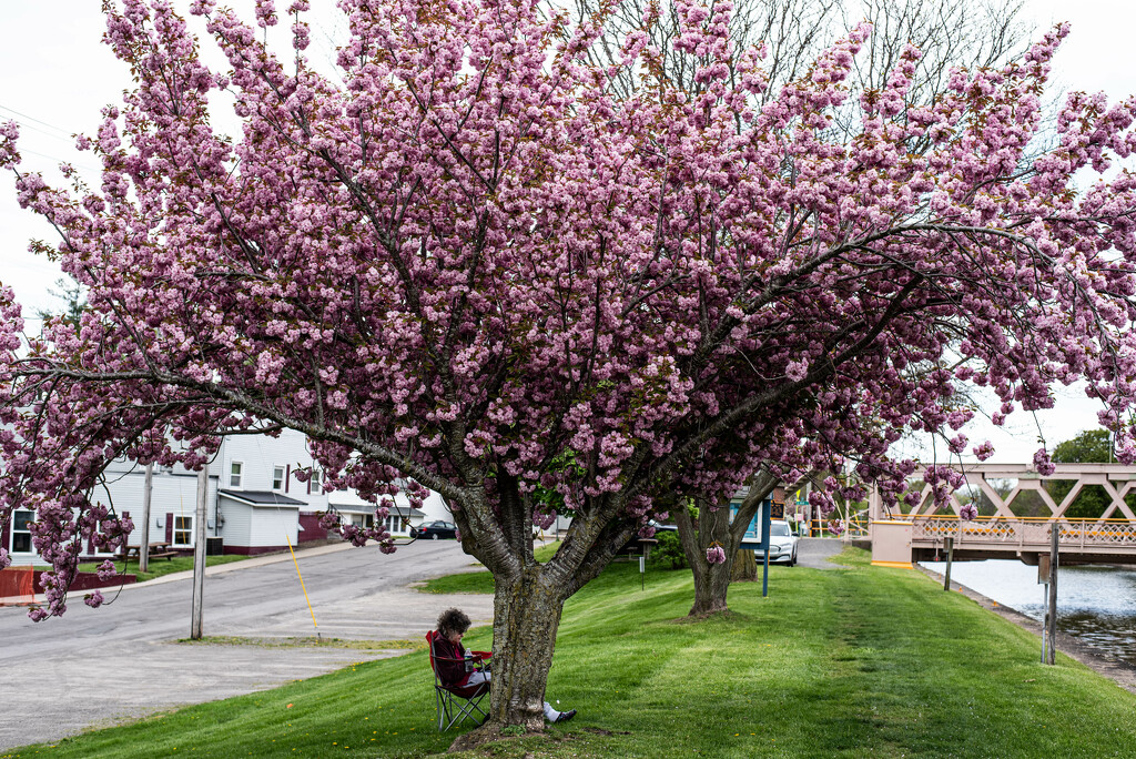 Under the Pink by darchibald