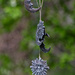 Tangled Chimes by darchibald