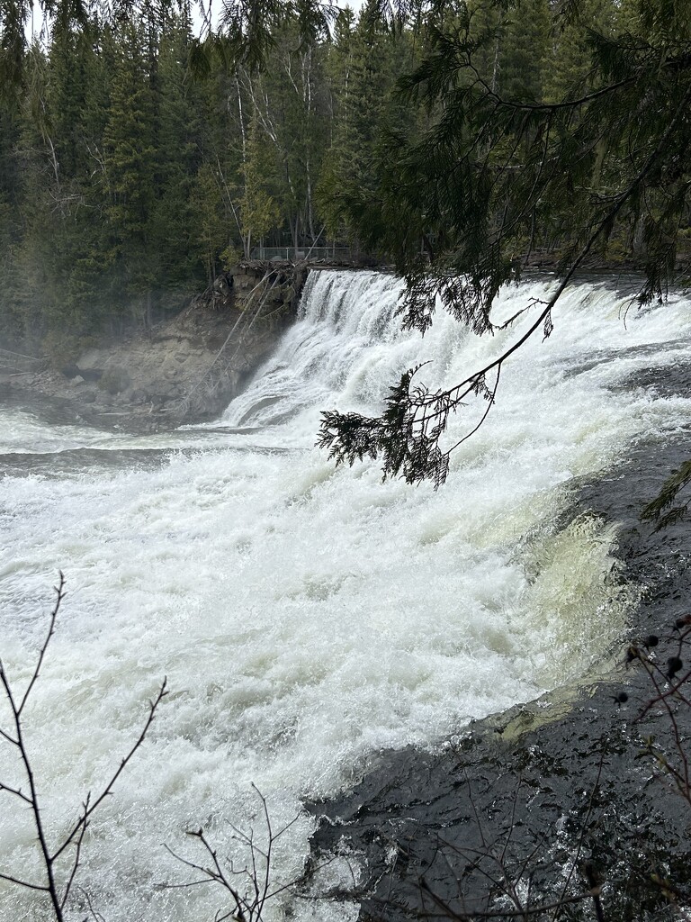 Dawson falls. Clearwater BC by suehazell