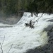 Dawson falls. Clearwater BC by suehazell