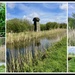 Wicken Fen 125 Years Old by foxes37