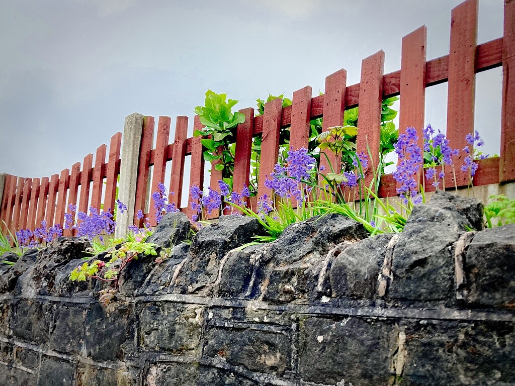 The other side of the fence by allsop