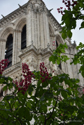 4th May 2024 - Notre Dame