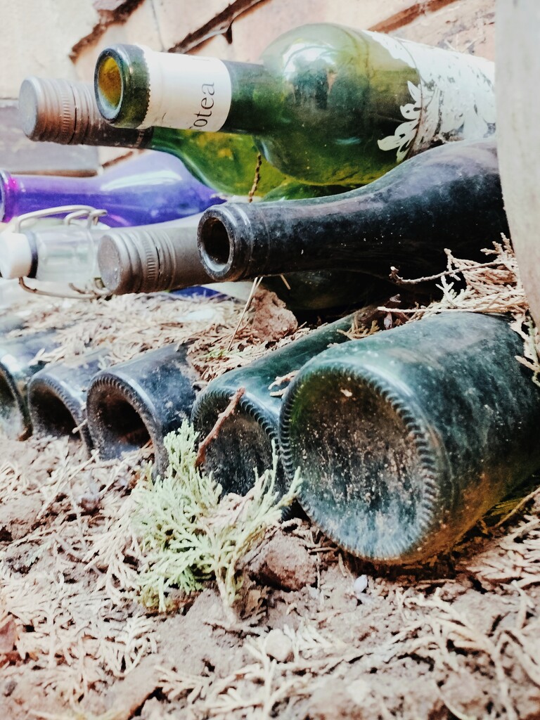 Old bottles by mdry