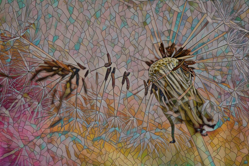 Dandy mosaic.......... by ziggy77