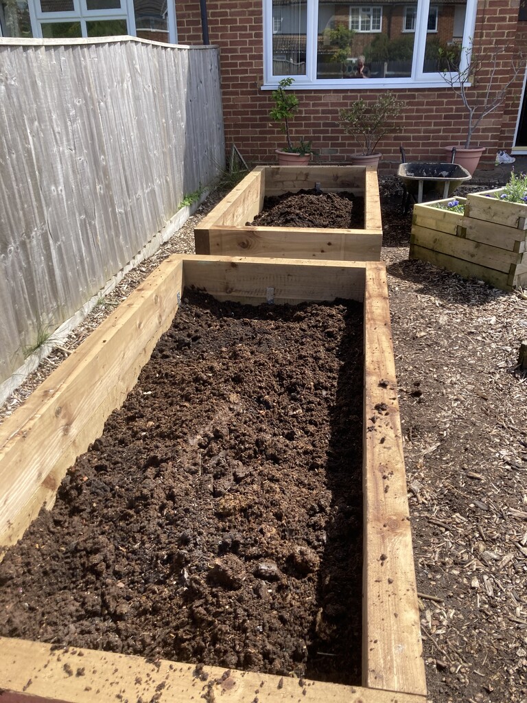 Raised Beds by cataylor41