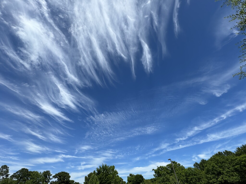 An afternoon of spectacular high clouds by congaree