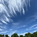 An afternoon of spectacular high clouds by congaree