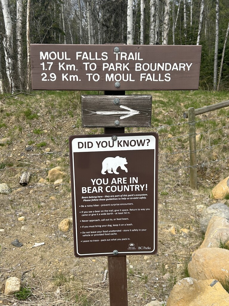 Moul falls  by suehazell
