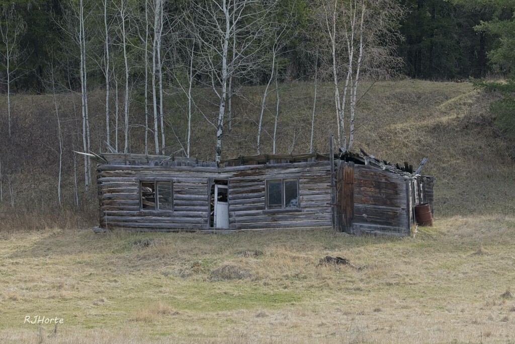 Old Log Cabin by horter