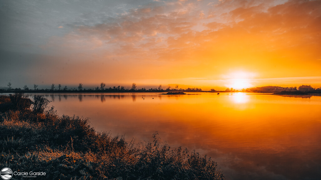 Sunrise over the wetlands by yorkshirekiwi
