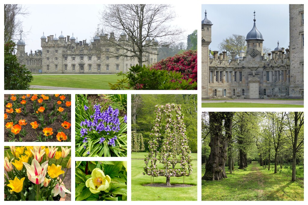 Floors Castle and Gardens by susiemc